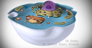 SCIENTIFIC 3D MODEL | 3D model, Light & Render This is a Scientific 3D Model.  One of my client/customer wanted me to create this 3D model of his project.  Created by © Kamal Nishad. All rights reserved. www.kamalnishad.com +91 9501247988 – 01